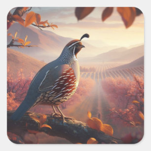 California Quail Birds Wildlife Natuur Kunst Vierkante Sticker