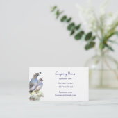 California Quail Carte de visite Bird Nature (Debout devant)