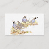 California Quail Carte de visite Bird Nature (Dos)