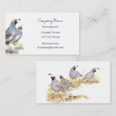 California Quail Carte de visite Bird Nature (Devant / Derrière)