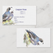 California Quail Carte de visite Bird Nature (Devant / Derrière)