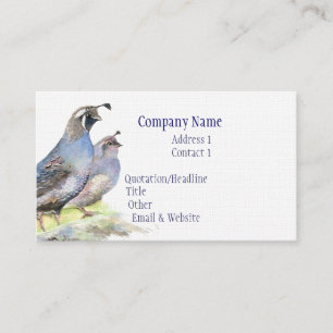 California Quail Carte de visite Bird Nature