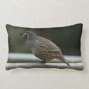 California Quail Kussen