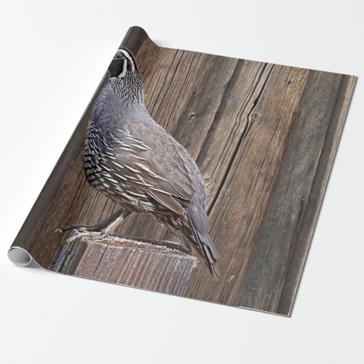 CALIFORNIA QUAIL OP BARNBOARD CADEAUPAPIER (Uitgerold)