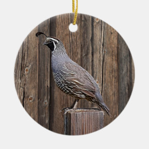 CALIFORNIA QUAIL OP BARNBOARD KERAMISCH ORNAMENT
