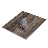 CALIFORNIA QUAIL OP BARNBOARD TEGELTJE (Zijkant)