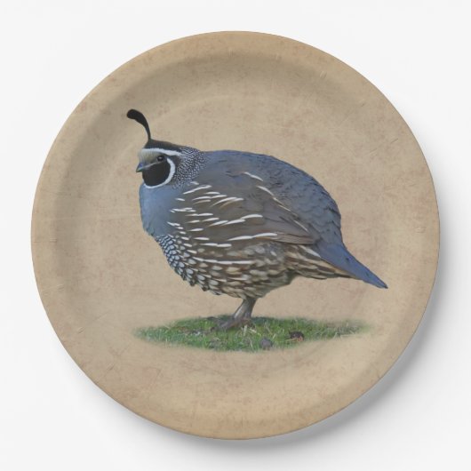 CALIFORNIA QUAIL PAPIEREN BORDJE (Voorkant)