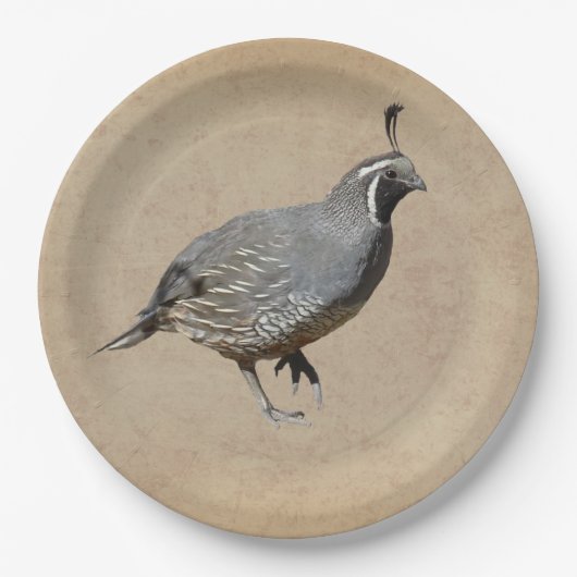 CALIFORNIA QUAIL PAPIEREN BORDJE (Voorkant)