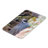 California Quail Profile Magnet Magneet (Linkerzijde)