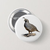 CALIFORNIA QUAIL RONDE BUTTON 5,7 CM (Voorkant /achterkant)