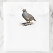 CALIFORNIA QUAIL RONDE STICKER (Tas)