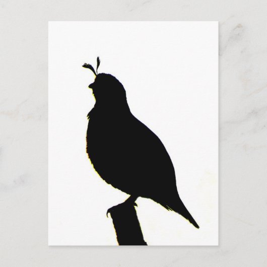 California Quail silhouette Briefkaart (Voorkant)
