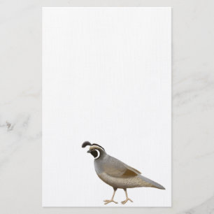 California Quail Stationery Briefpapier