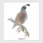 California quail sticker (Vel)