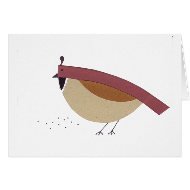 California Quail White (Voorkant Horizontaal)