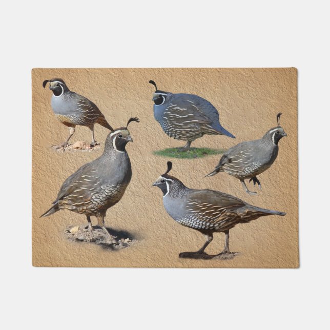 CALIFORNIA QUAILS DEURMAT (Voorkant)