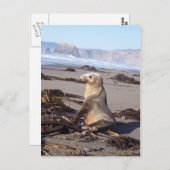 California Red Seal Briefkaart (Voorkant / Achterkant)