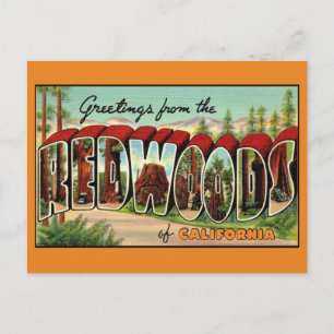 California Redwood Greeting Briefkaart