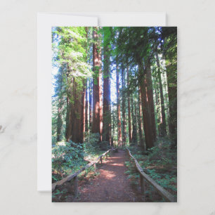 California Redwood Trail Ontwerp Save The Date