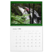 California Scenery Kalender (Jan 2026)