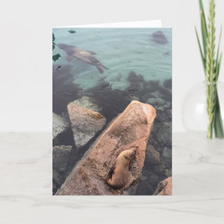 california sea life greeting card (blank inside)  kaart