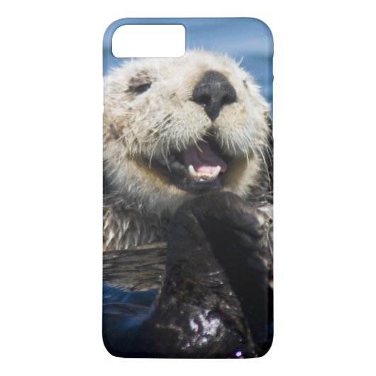 California Sea Otter Enhydra lutris grooms Case-Mate iPhone Case (Achterkant)