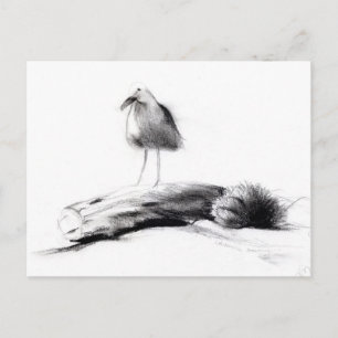 California Seagull 2012 Briefkaart