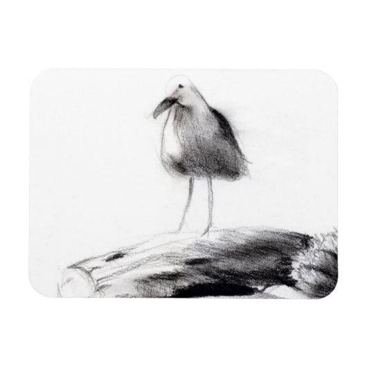 California Seagull 2012 Magneet (Horizontaal)