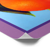 California Sinaasappels Fruit Advertisement Print (Hoek)