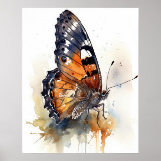 California Sister Butterfly Art Print Poster