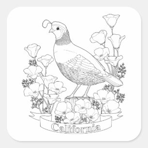 California State Bird and Flower Coloring Page Vierkante Sticker
