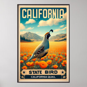 California State Bird - Californische kwartel Vint Poster