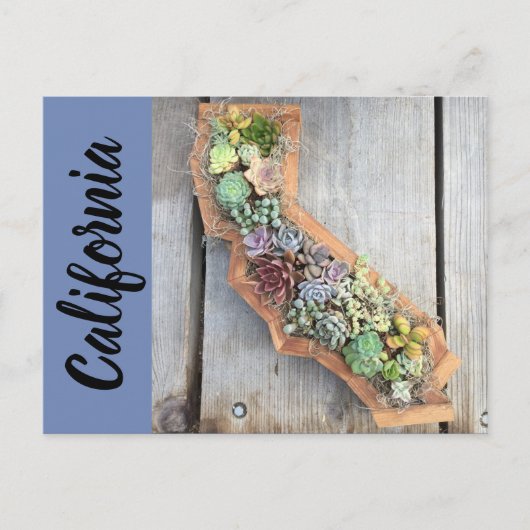 California Succulent Briefkaart (Voorkant)