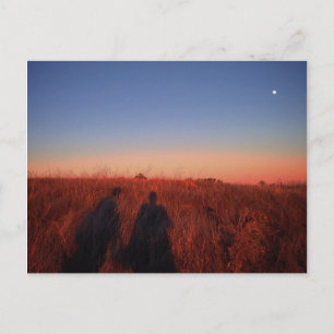 California Sunset Briefkaart