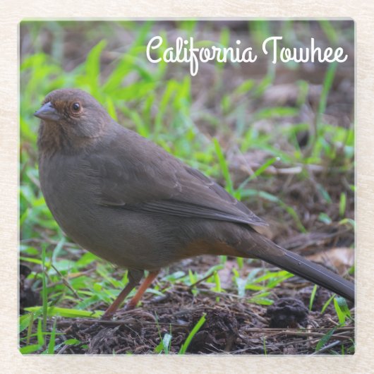 California Towee Glazen Onderzetter (Voorkant)
