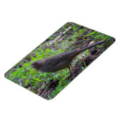 California Towee Magneet (Linkerzijde)