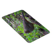 California Towee Magneet (Rechterzijde)