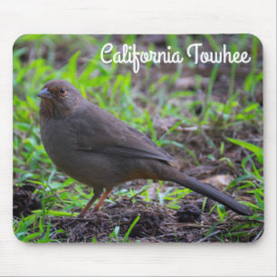 California Towee Muismat