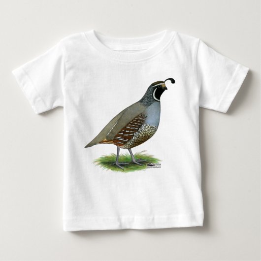California Valley Quail (Voorkant)