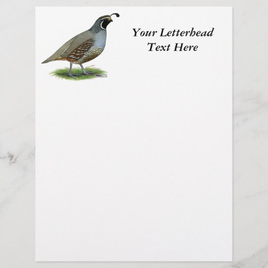 California Valley Quail (Voorkant)