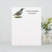 California Valley Quail (Staand voorkant)