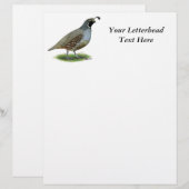 California Valley Quail (Voorkant / Achterkant)