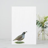 California Valley Quail Briefpapier (Staand voorkant)