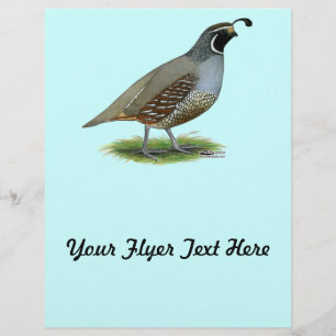 California Valley Quail Flyer