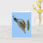 California Valley Quail Kaart (Gele Bloem)