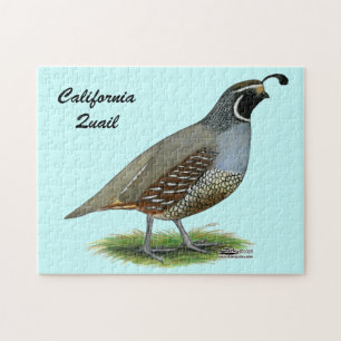 California Valley Quail Legpuzzel