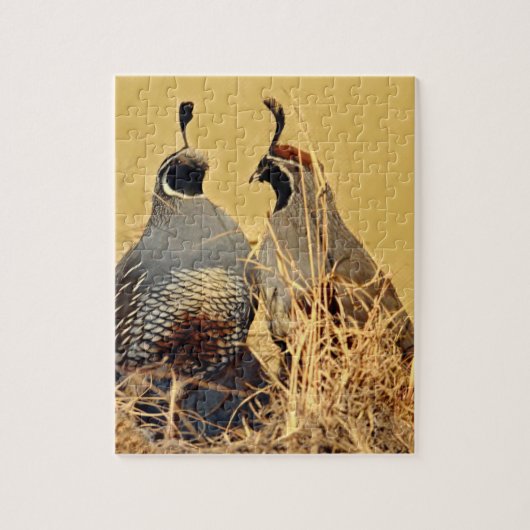 California Valley Quail Legpuzzel (Verticaal)