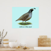 California Valley Quail Poster (Keuken)