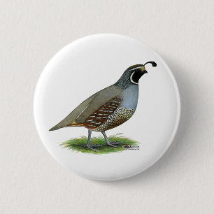California Valley Quail Ronde Button 5,7 Cm