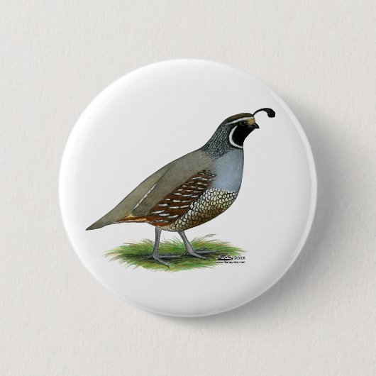 California Valley Quail Ronde Button 5,7 Cm (Voorkant)